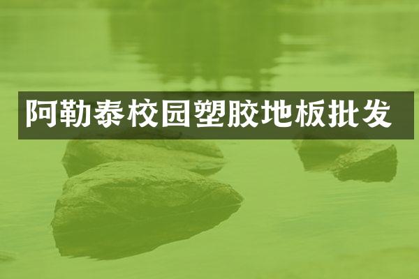阿勒泰校园塑胶地板批发