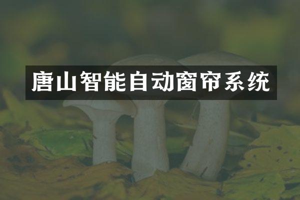 唐山智能自动窗帘系统