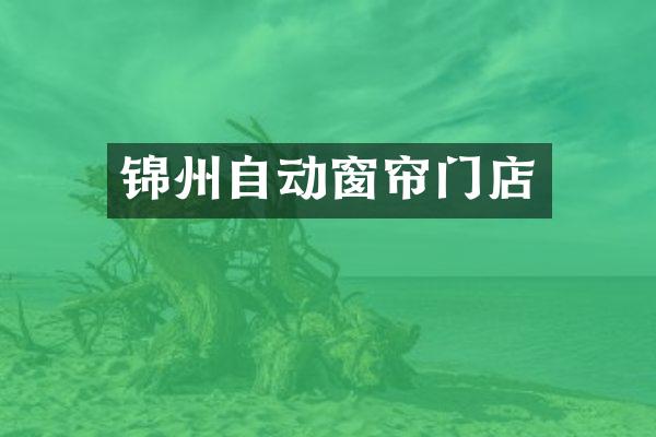锦州自动窗帘门店