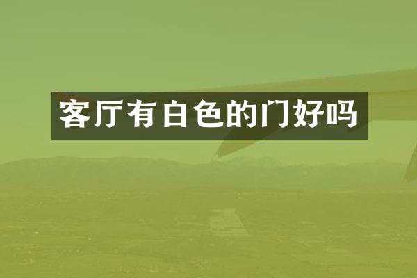 客厅有白色的门好吗