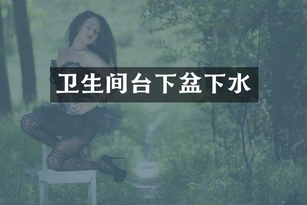 卫生间台下盆下水