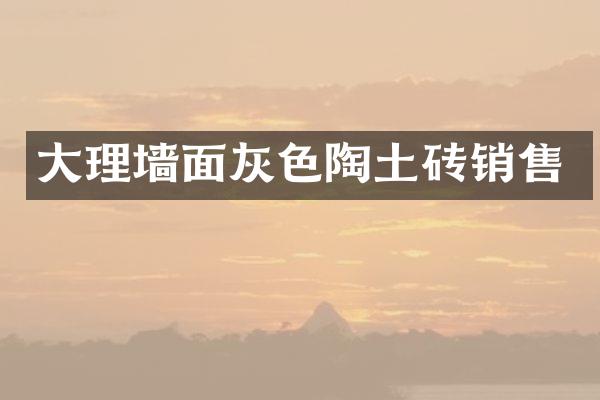 大理墙面灰色陶土砖销售