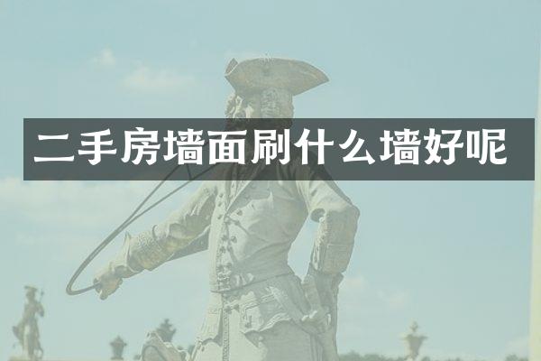 二手房墙面刷什么墙好呢