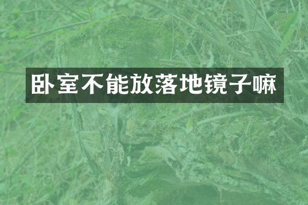 卧室不能放落地镜子嘛