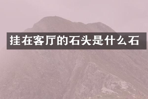 挂在客厅的石头是什么石