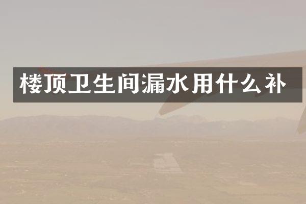 楼顶卫生间漏水用什么补