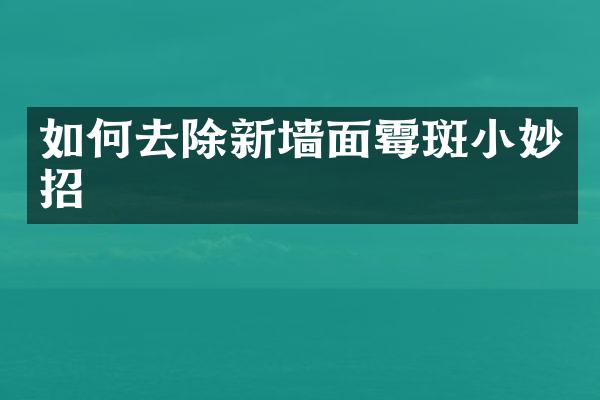 如何去除新墙面霉斑小妙招