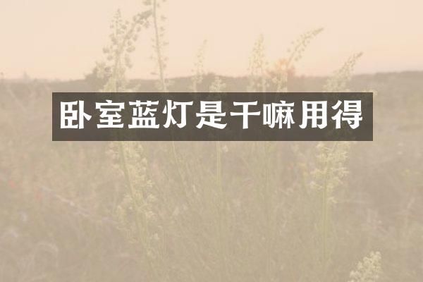 卧室蓝灯是干嘛用得