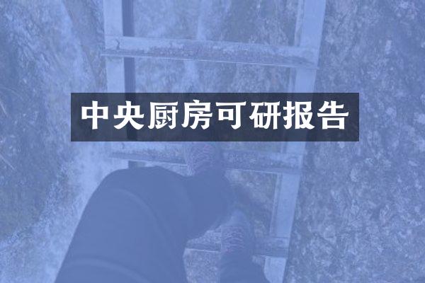 中央厨房可研报告