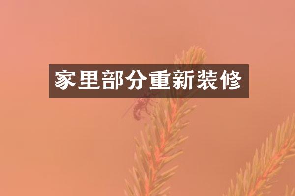家里部分重新装修