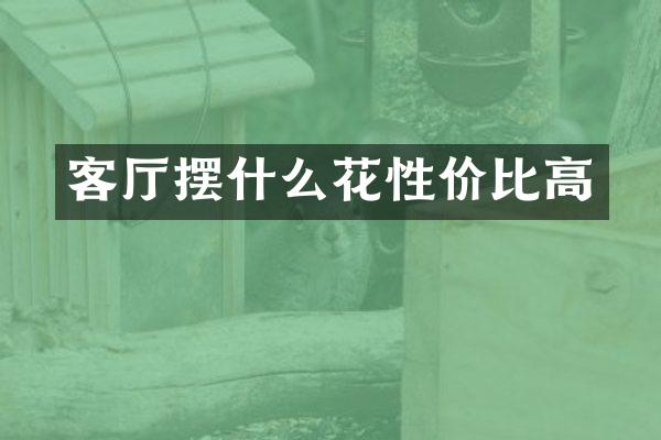 客厅摆什么花性价比高
