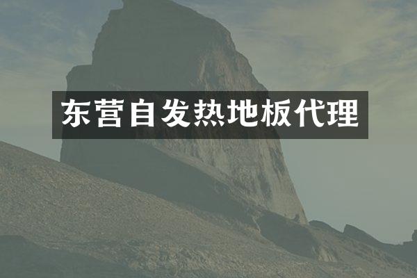 东营自发热地板代理