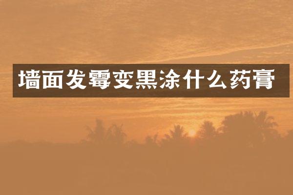 墙面发霉变黑涂什么药膏