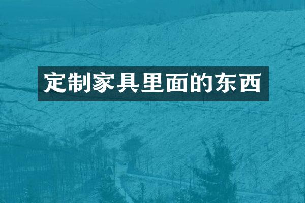 定制家具里面的东西