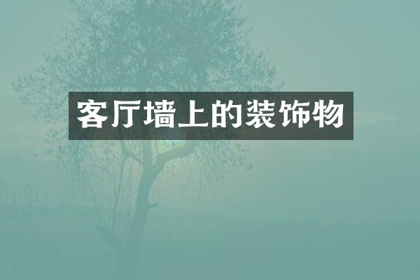 客厅墙上的装饰物