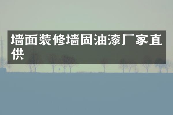 墙面装修墙固油漆厂家直供