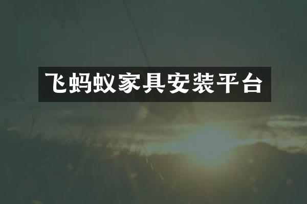 飞蚂蚁家具安装平台