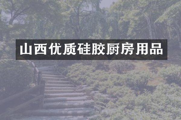 山西优质硅胶厨房用品