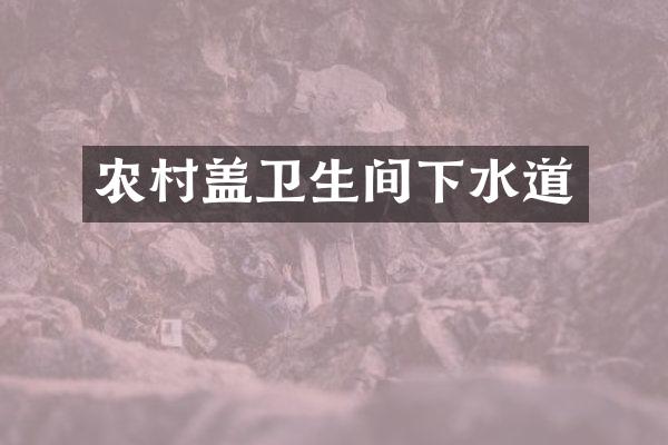 农村盖卫生间下水道