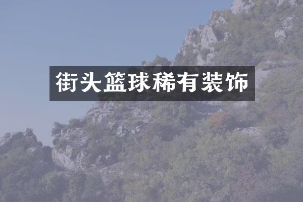 街头篮球稀有装饰