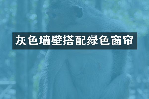 灰色墙壁搭配绿色窗帘