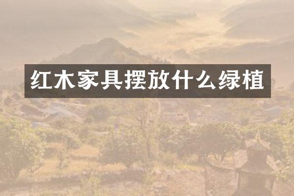 红木家具摆放什么绿植