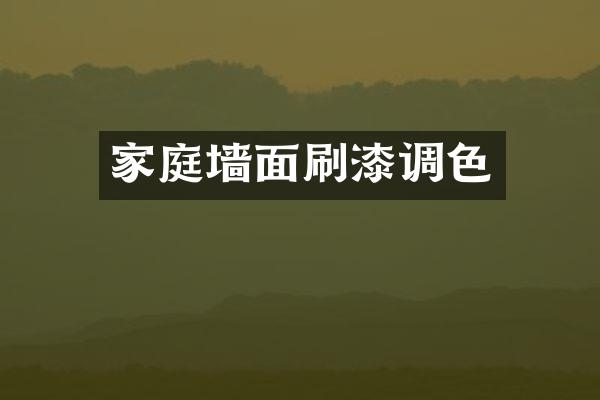 家庭墙面刷漆调色