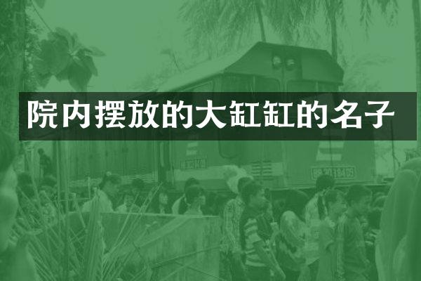 院内摆放的大缸缸的名子