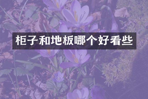 柜子和地板哪个好看些