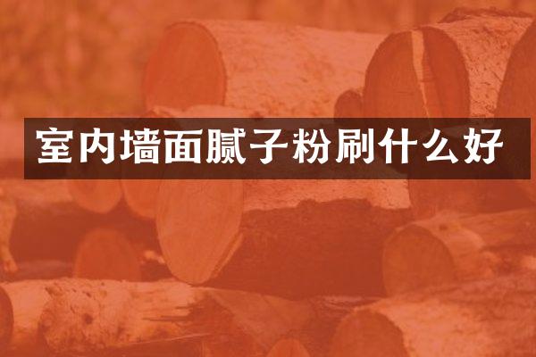 室内墙面腻子粉刷什么好