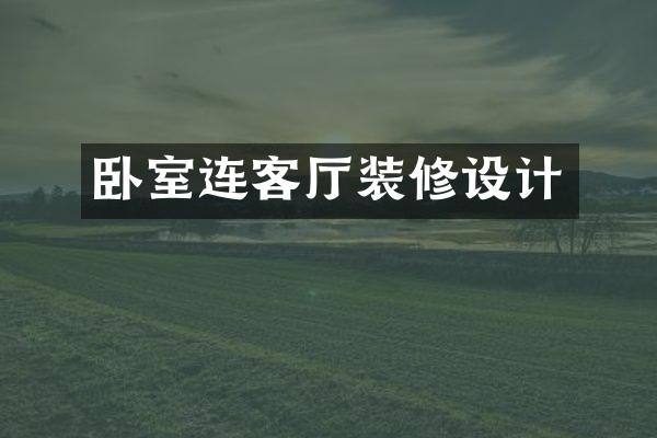 卧室连客厅装修设计