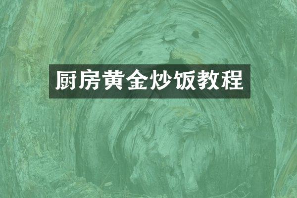 厨房黄金炒饭教程