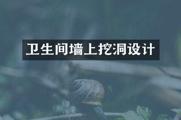 卫生间墙上挖洞设计