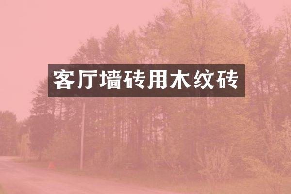 客厅墙砖用木纹砖