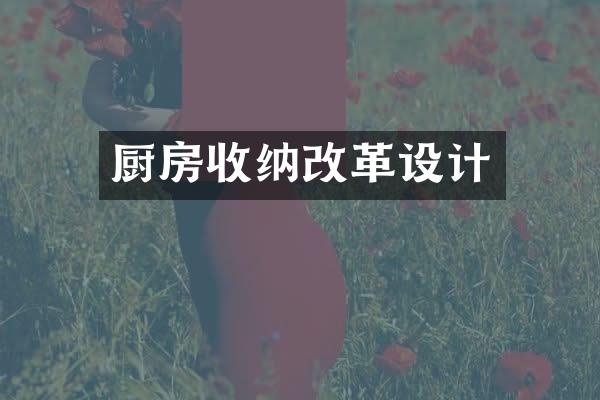 厨房收纳改革设计