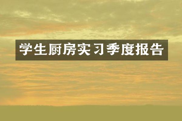 学生厨房实习季度报告