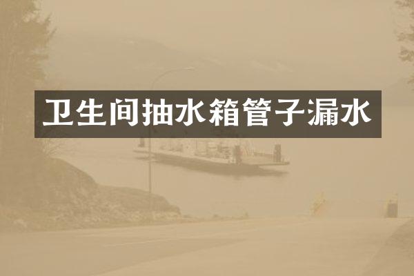 卫生间抽水箱管子漏水