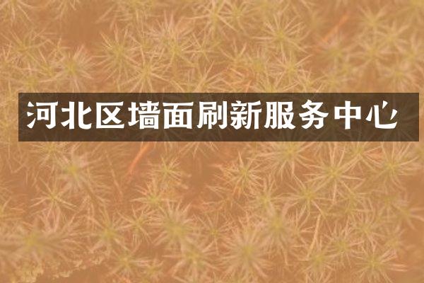 河北区墙面刷新服务中心