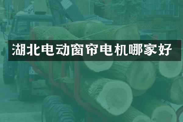 湖北电动窗帘电机哪家好