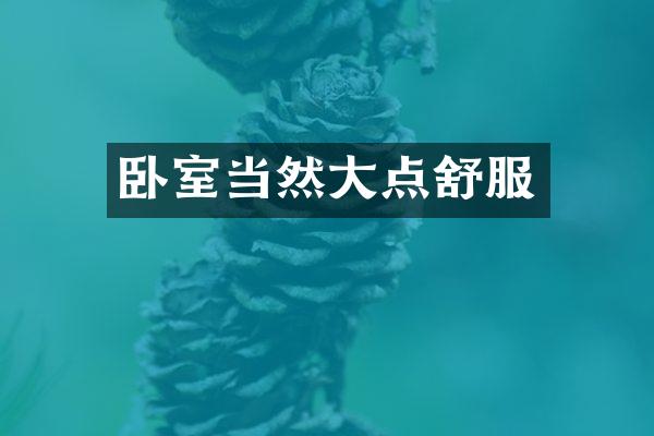 卧室当然大点舒服