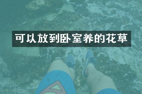 可以放到卧室养的花草