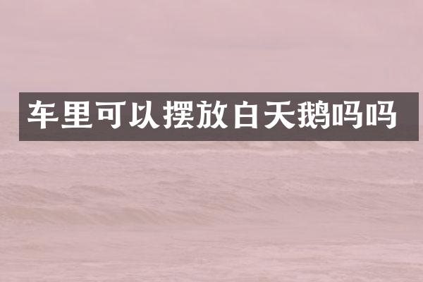 车里可以摆放白天鹅吗吗