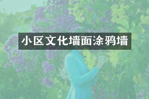 小区文化墙面涂鸦墙