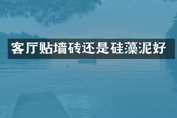 客厅贴墙砖还是硅藻泥好