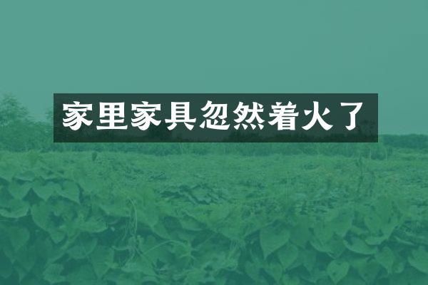 家里家具忽然着火了