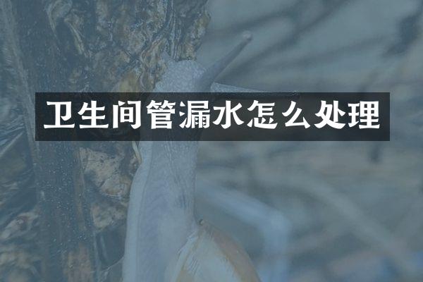 卫生间管漏水怎么处理