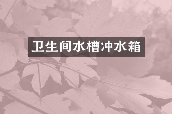 卫生间水槽冲水箱