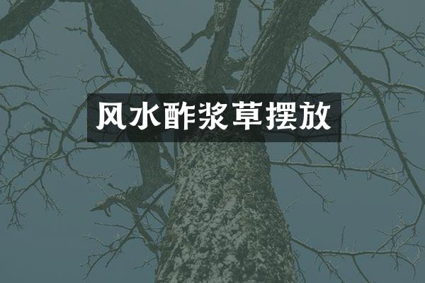 风水酢浆草摆放