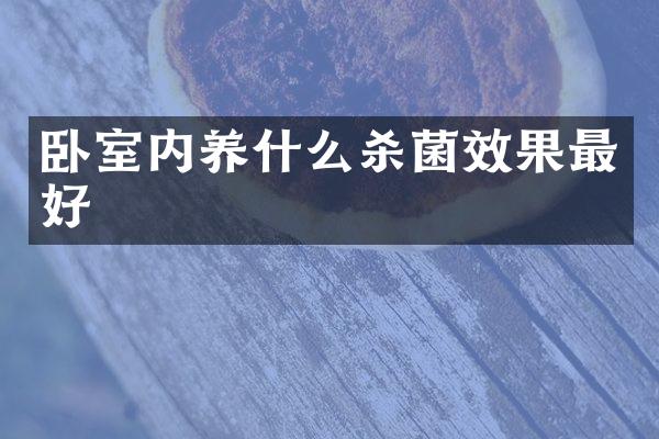 卧室内养什么杀菌效果最好