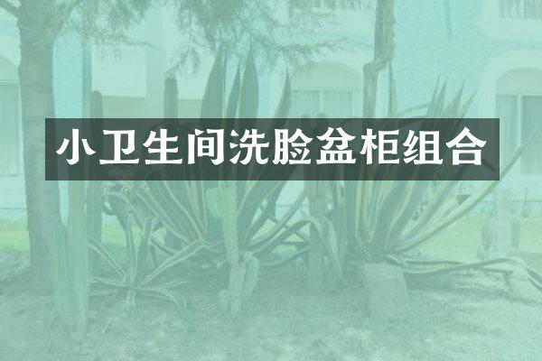 小卫生间洗脸盆柜组合